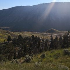 Mammoth Hot Springs Dining Room 여행 사진