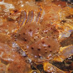 東海怡品海鮮餐廳(濱湖店)張用戶圖片