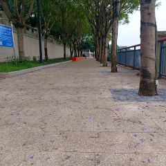 漢堡王（梅嶺觀海店）張用戶圖片