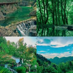 早茶街 User Photo
