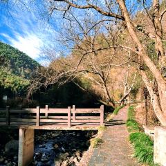 北山淩英手擀麵張用戶圖片