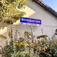 南蘇院 User Photo