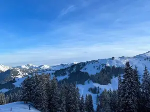 Berggasthof Sonnbuhel