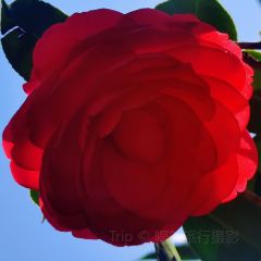 Jiahuabingwu (jinseguangchang) User Photo