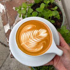 Coffee Reset 重個置咖啡(井大路店) User Photo