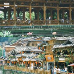 一木草堂咖啡馆 User Photo