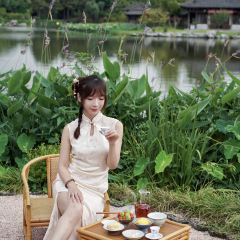隐居茶苑 User Photo