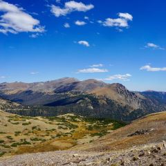 Trail Ridge Store Snack Bar User Photo