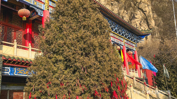 lao jun tai