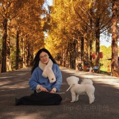 食色·一方庭 User Photo