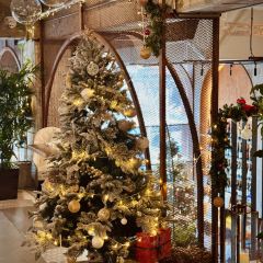 ROMA SHANGHAI User Photo