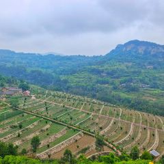 龙湖印象 User Photo