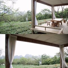 T三峰林茶谷野奢帐篷营地·T三茶宴 User Photo