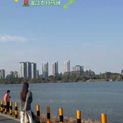老字号青年路锅边糊 User Photo