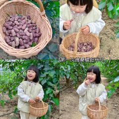 Yuxiangyuan User Photo