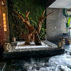 云水谣湖景餐厅(龙湖新天地店) User Photo