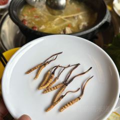 小桥流水人家 User Photo