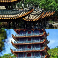 宣和一味（融僑中心店）張用戶圖片