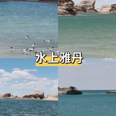 青海土火锅(建设西路店) User Photo