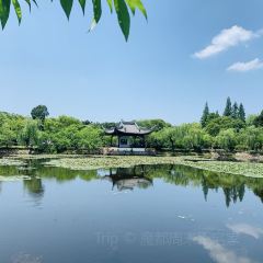 無錫魯能萬豪飯店·萬豪中餐廳張用戶圖片