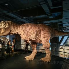 安吉自然博物院自然体验餐厅 User Photo