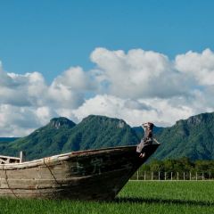 在发呆·lan's浪肆咖啡庄园 User Photo