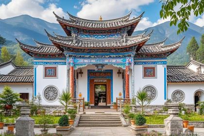 Apolapaigu (zhongyi)