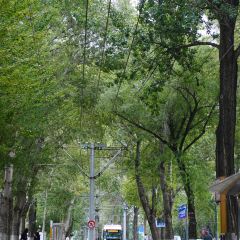 REAL BREAD User Photo