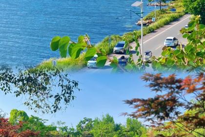 CHUNSHUI POTSTICKERA