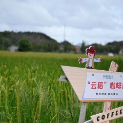 PanDaSao SEAFOOD User Photo