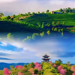 申记臭豆腐煮鱼(五一步行街店) User Photo