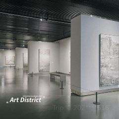 SUN JIA LONG XIA User Photo