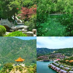 乡下老家粗菜馆(曹州路店) User Photo