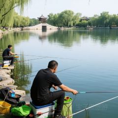 MOON VALLEY User Photo