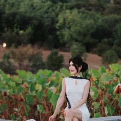 Shan Chinese Restaurant User Photo