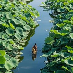 MIAO ZHUANG DE GUO JI User Photo