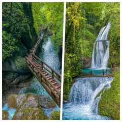 TU ZAO REN JIA CHAIHUO CHICKEN User Photo