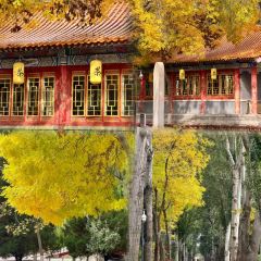 老马家羊杂碎店 User Photo