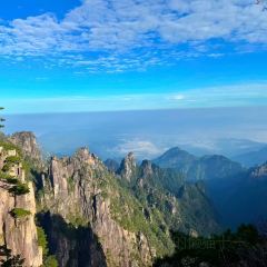 秀嫂挞粿 User Photo