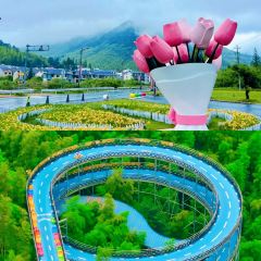 熊猫主题餐厅 User Photo