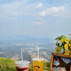 LATITUDE 여행 사진