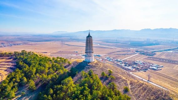 Octagonal Observation Tower