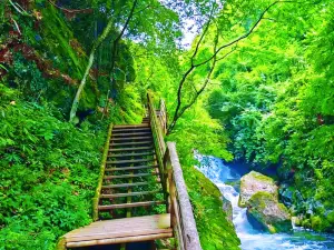 West Falls Big Forest