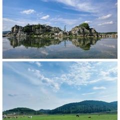 Zhan yi gong shi la zi Chicken (zhan yi) User Photo