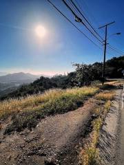 Mulholland Drive Stop