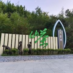 金獎惠明茶（府前西路店）張用戶圖片