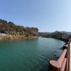 大沙洲休闲农庄 User Photo