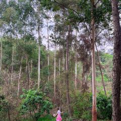 DONG PO SHAN ZHUANG TIAN YUAN SHENG TAI HUO GUO User Photo