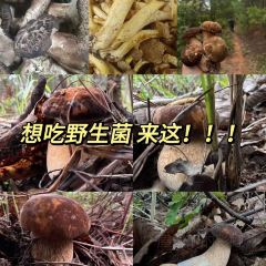 大嘴巴養生湯鍋張用戶圖片