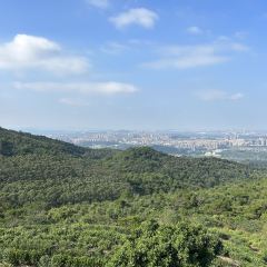 茶山天然居 User Photo